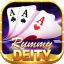 play rummy referral code logo