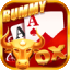 new teen patti rummy